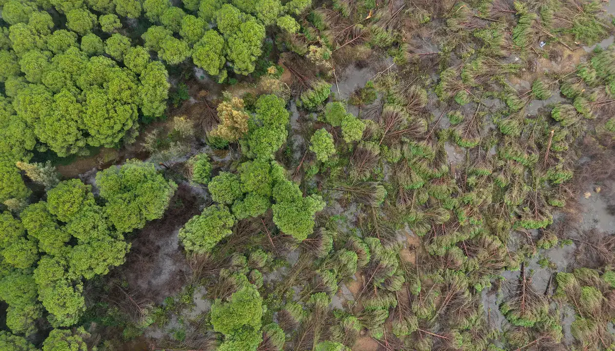 Aksu’da Hortum Felaketinin İzleri Siliniyor 7